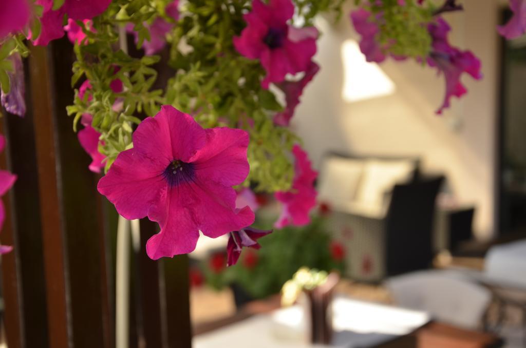 Hotel Topcider Белград Екстериор снимка